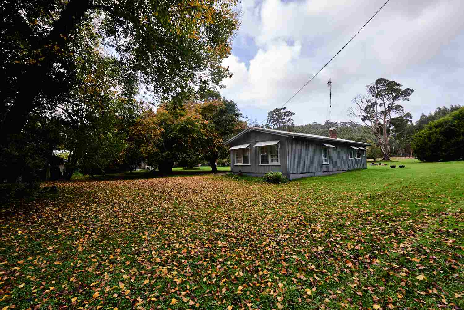 Autumn at Tarkinegrove