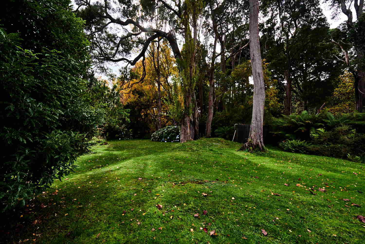 Autumn at Tarkinegrove