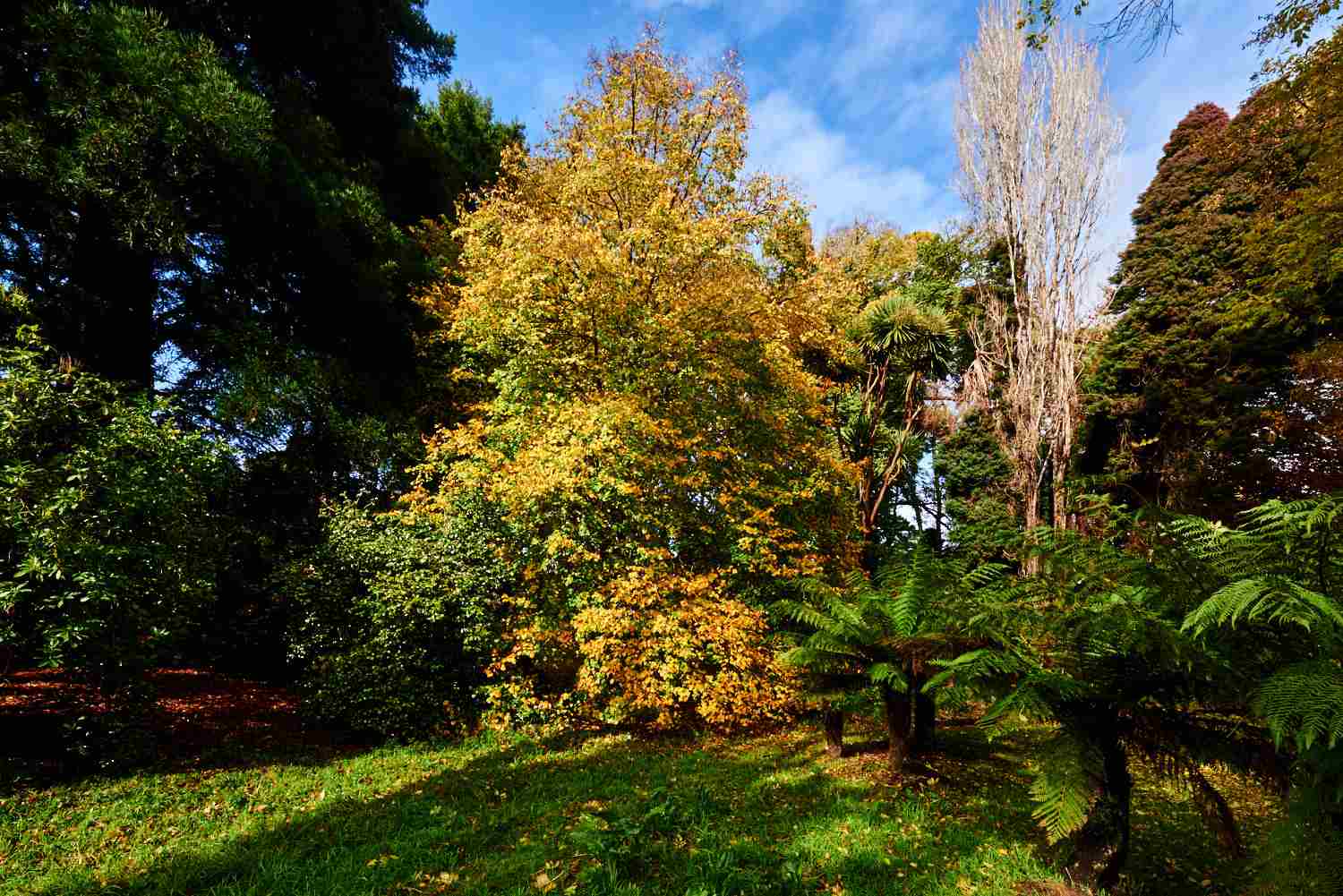 Autumn at Tarkinegrove