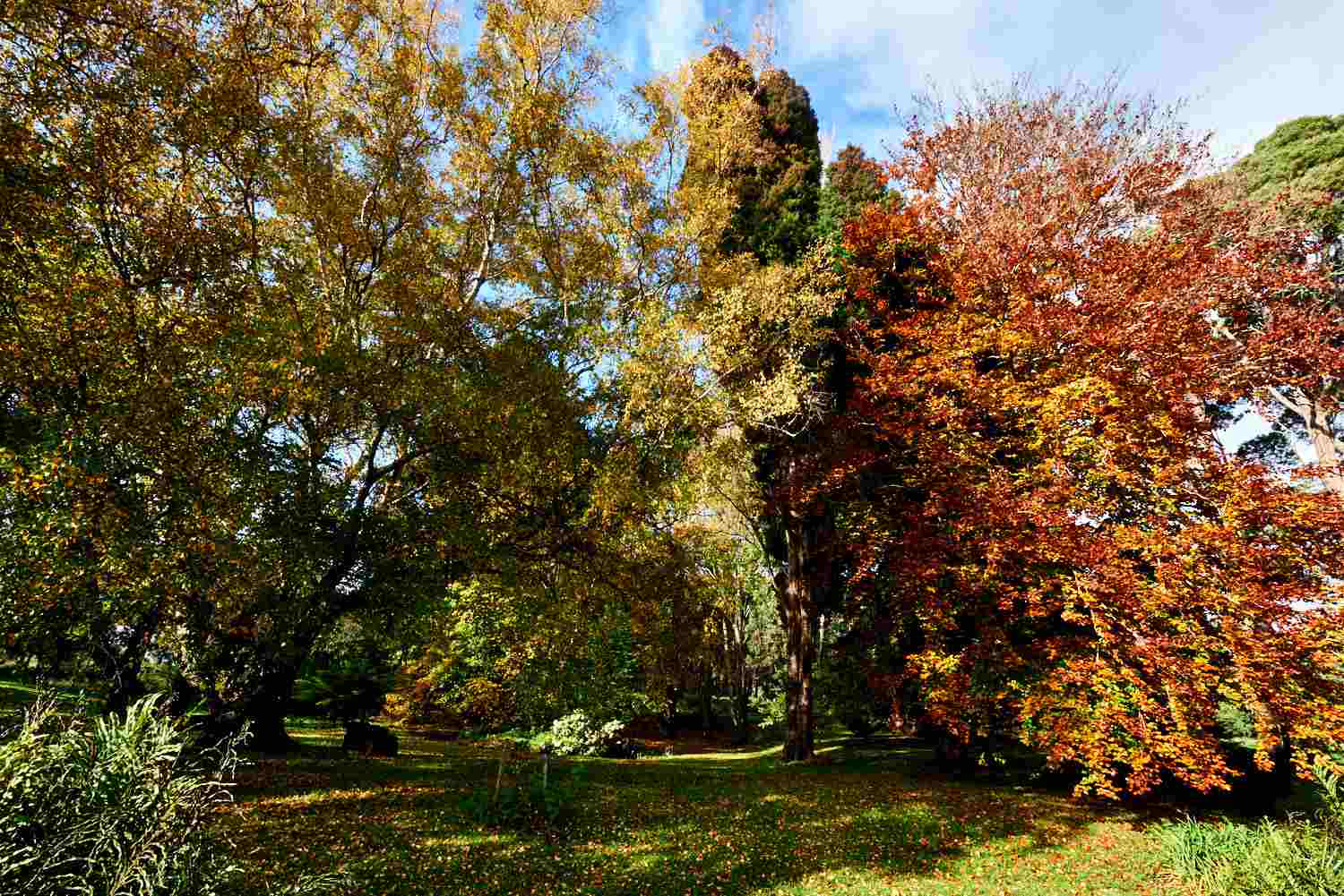 Autumn at Tarkinegrove