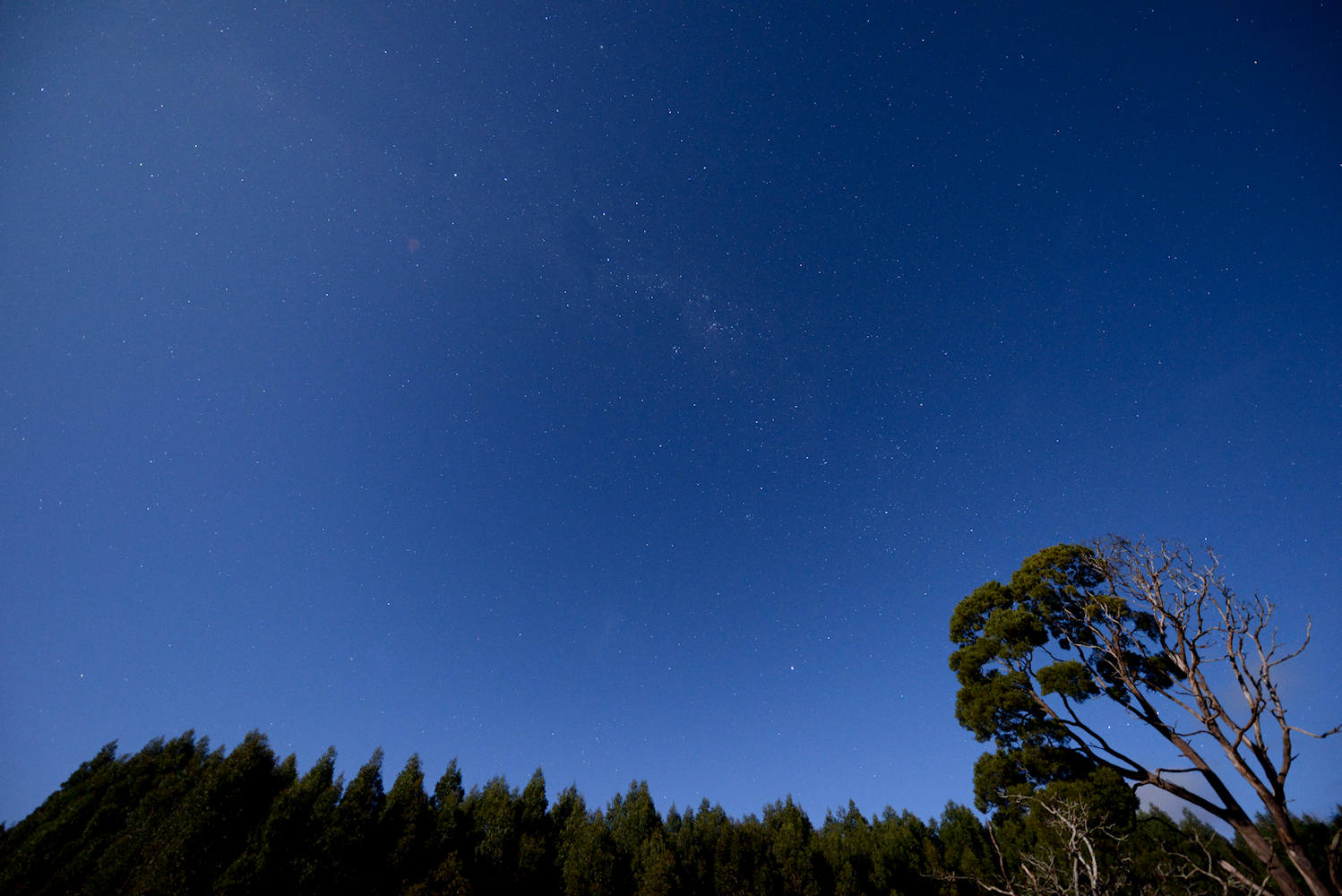 Autumn Night Sky