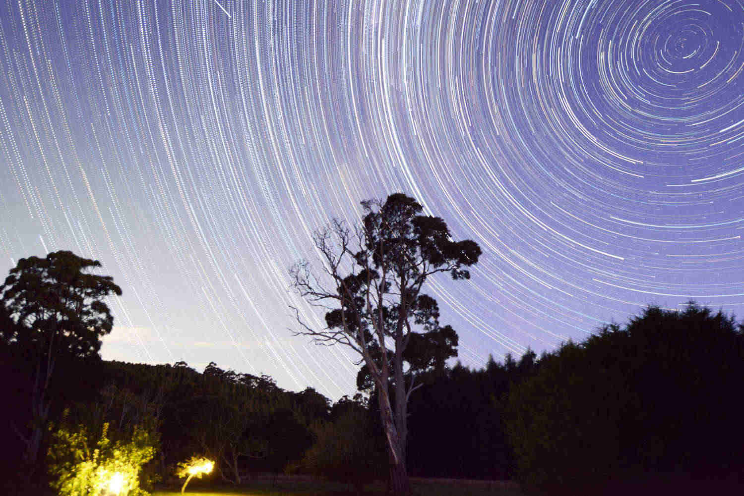 Autumn Night Sky