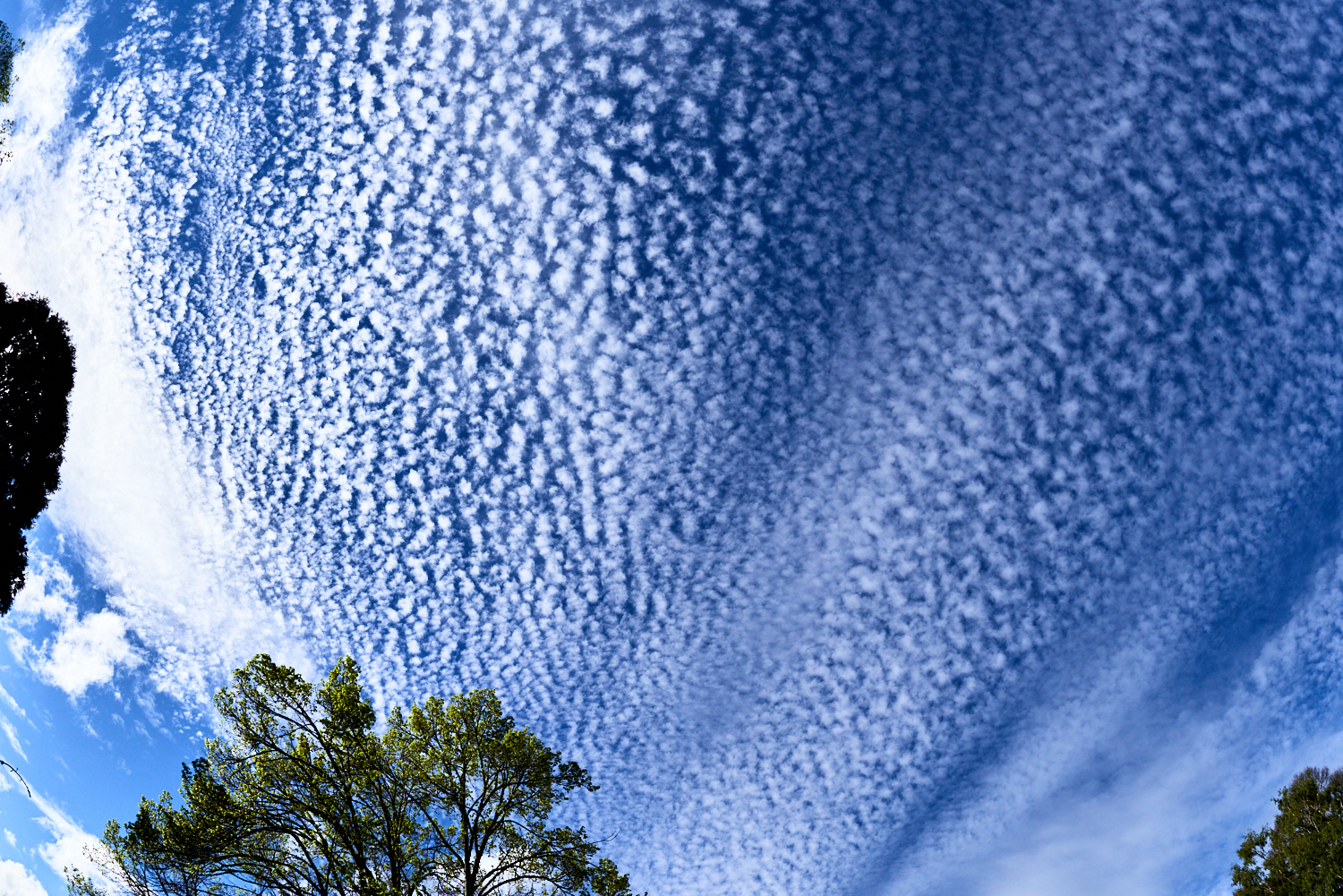 Sky at Tarkinegrove